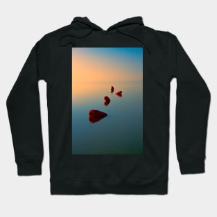 Tranquillity Hoodie